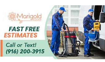 Marigold Cleaning