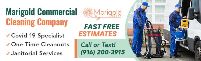 Marigold Clean
