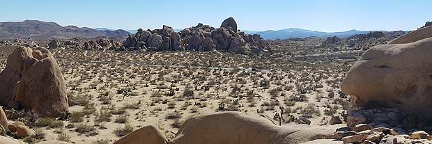 joshua tree rocks