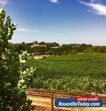 Placer Wine Trail