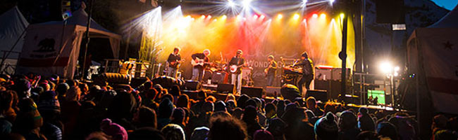 WinterWonderGrass