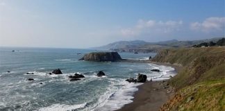 Sonoma Coast