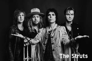 The Struts