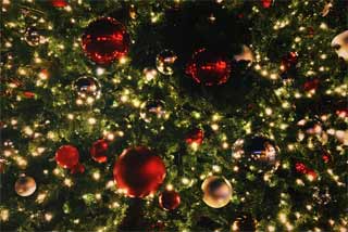christmas-tree Christmas LIghts