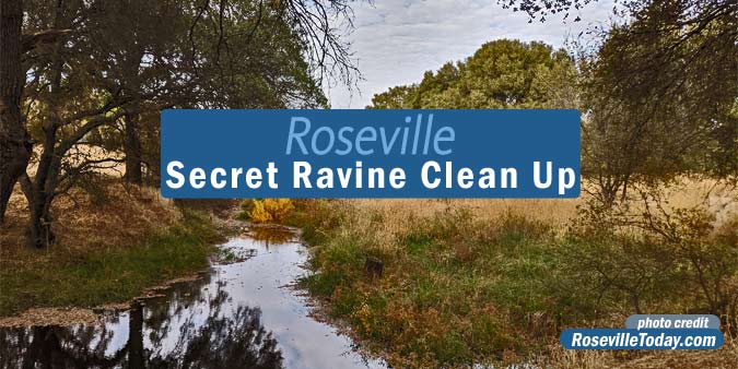 Secret Ravine Cleanup