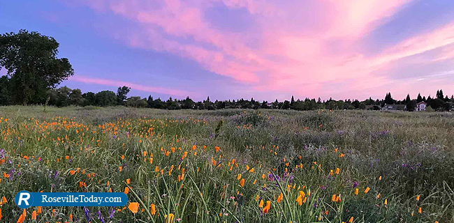 Roseville Only California City among Money's Best Places to Live