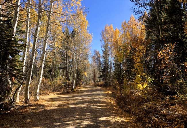 Hope Valley in autumn