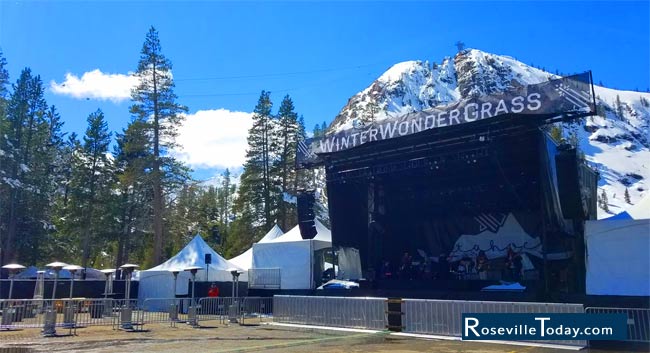 WinterWonderGrass