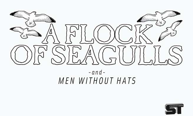 Flock of Seagulls