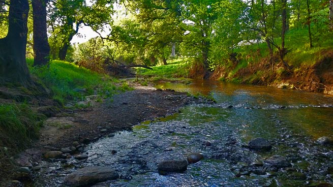 Roseville creek