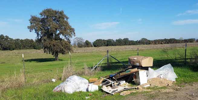 litter in West Roseville