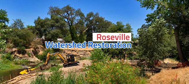 Dry Creek Restoration begins
