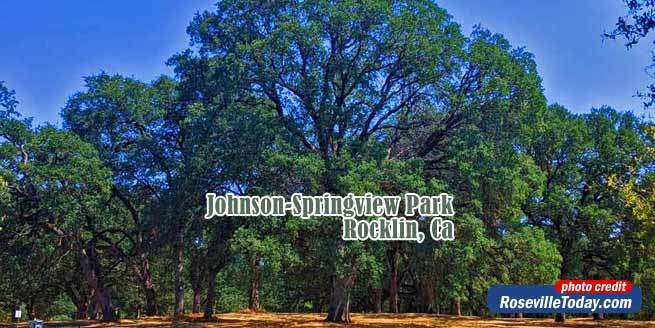 Johnson-Springview Park