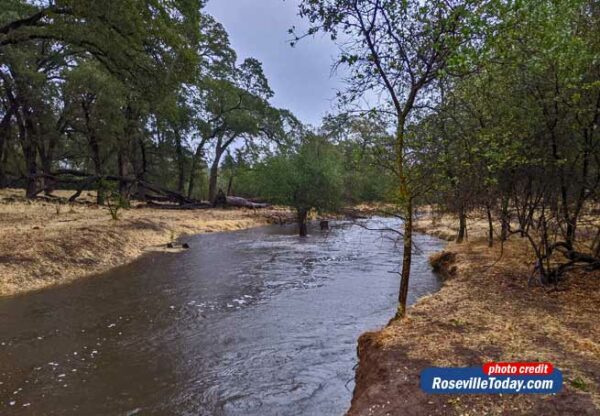Roseville rocked with heavy rains and windy weather - Roseville Today