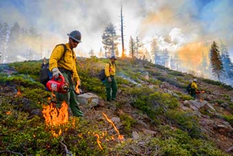 prescribed burn in the Sierra Nevada