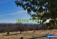 Clover Valley