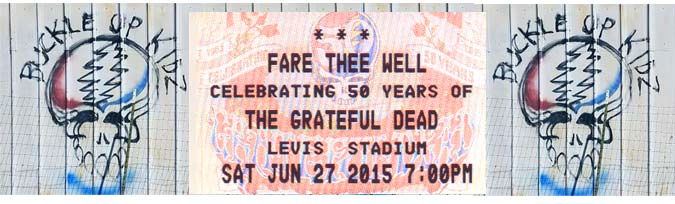 Grateful Dead Fare Thee Well Ticket stub