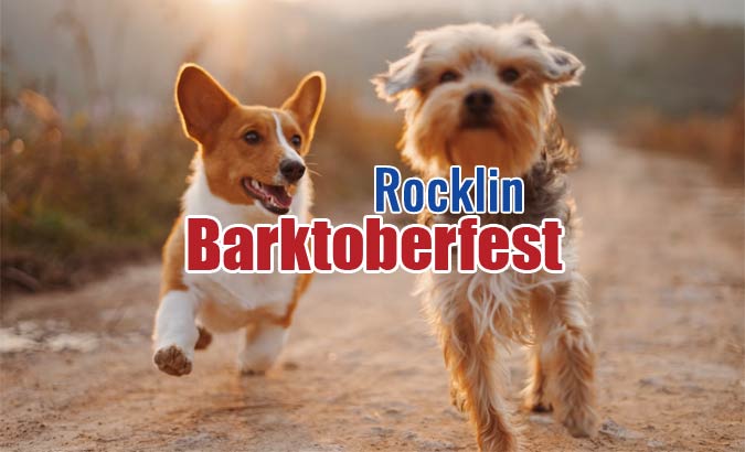 Rocklin Barktoberfest