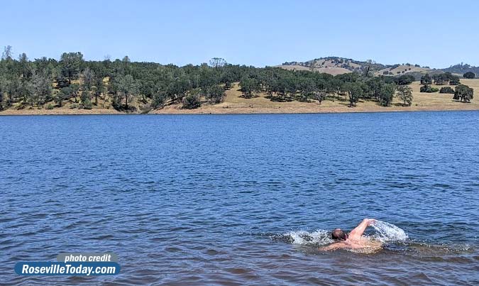 swimming Folsom Lake