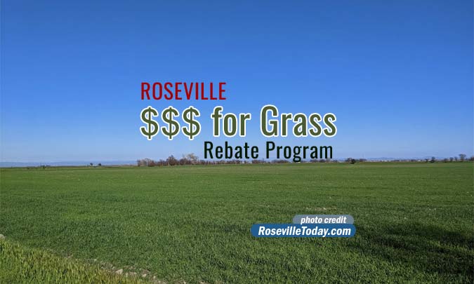 roseville-cash-for-grass-rebate-now-available-roseville-today