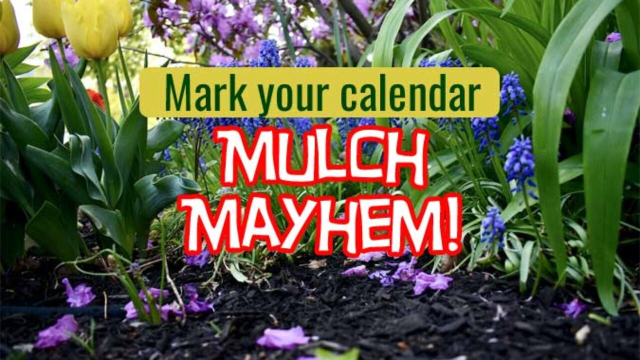 Roseville and Rocklin joining in free Mulch Mayhem event - Roseville Today Roseville and Rocklin joining in free Mulch Mayhem event - Roseville Today